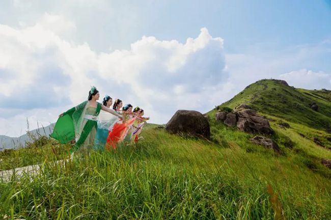 柘荣鸳鸯草场。长寿柘荣供图