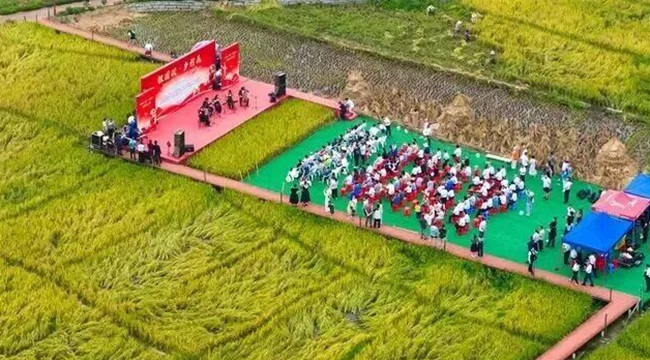 蕉城下竹洋村。王志凌攝