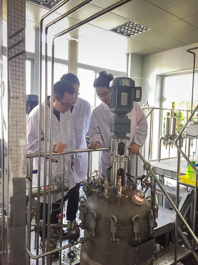 功能微生物发酵中试试验