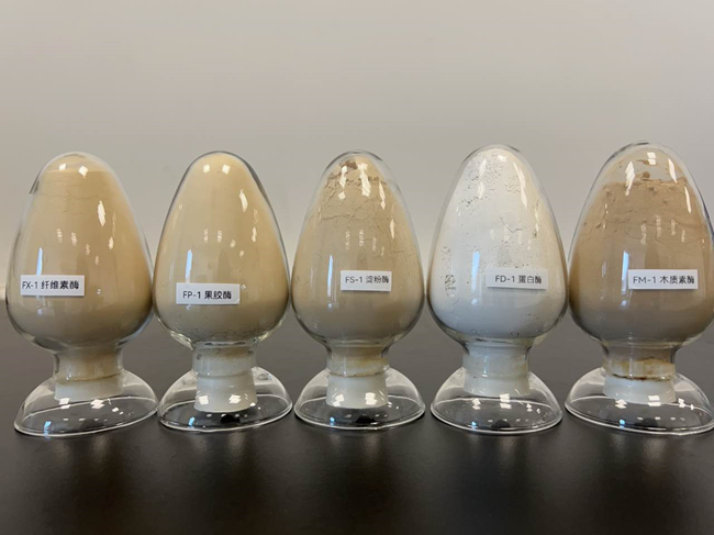 部分生物酶制剂产品