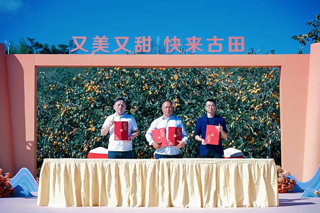 活动现场。主办方供图