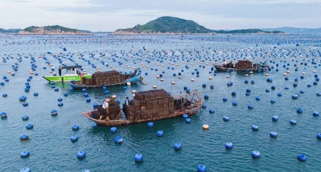 下宮鎮鬆蘆灣海域鮑魚養殖區。