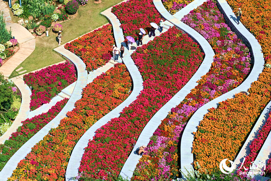市民游客在花海中漫步。人民網記者 陳博攝