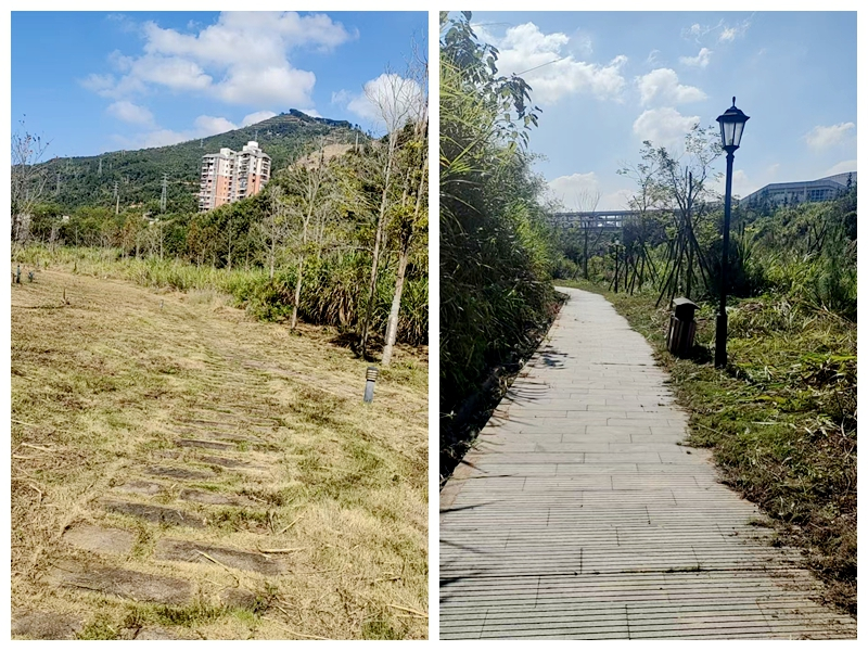 杂草修剪后，延平站站后公园变得干净了。南平市土发集团公司供图