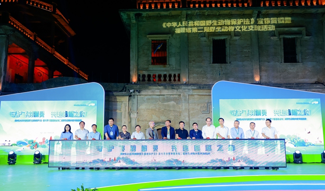 啟動儀式。主辦方供圖