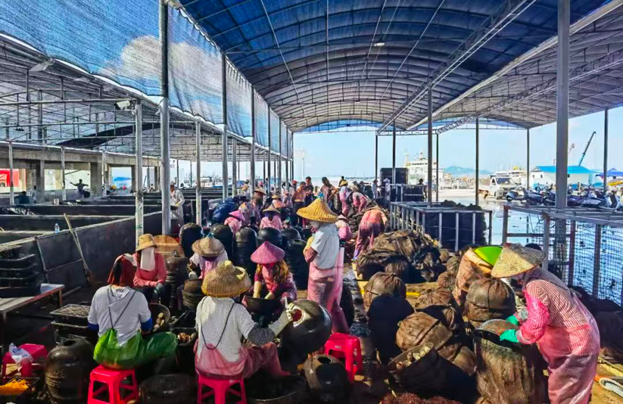 渔民在东山冬古水产品兴村富民工坊内分拣鲍鱼。东山县委宣传部供图