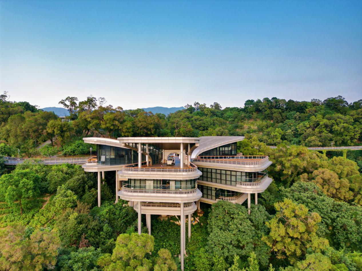 金鸡山公园揽城栈道旁,茉莉花厅清新书苑掩映在翠绿之中。清新书苑供图