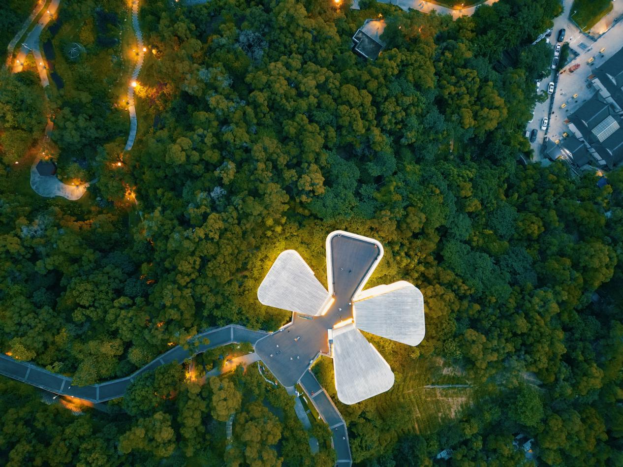 俯瞰茉莉花厅清新书苑,宛如一朵“茉莉花”绽放在公园的森林中。清新书苑供图