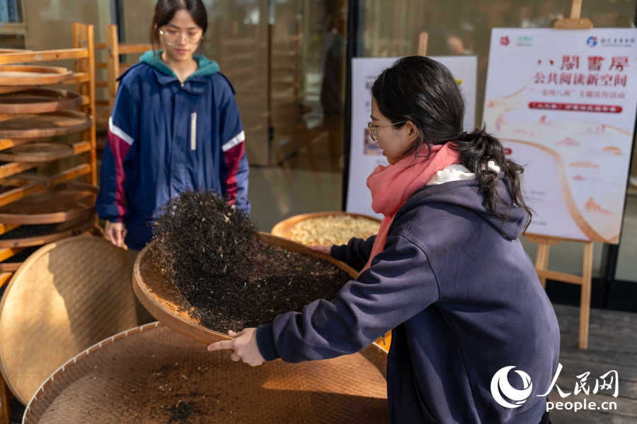 讀者體驗茉莉花茶窨制技藝。實習生 鄭舒塵攝