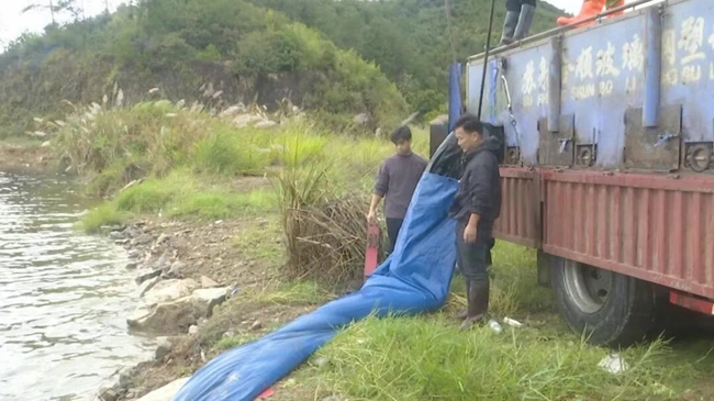 放流现场。古田县融媒体中心供图