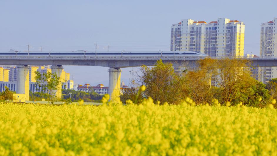 竺溪路沿路风光