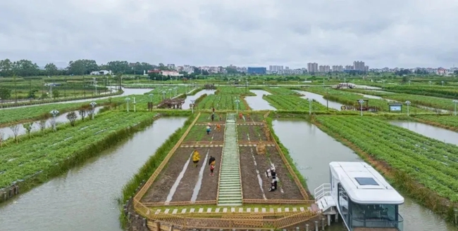 以垛田农业种植观光园为核心，打造农耕文化生态水乡田园综合体