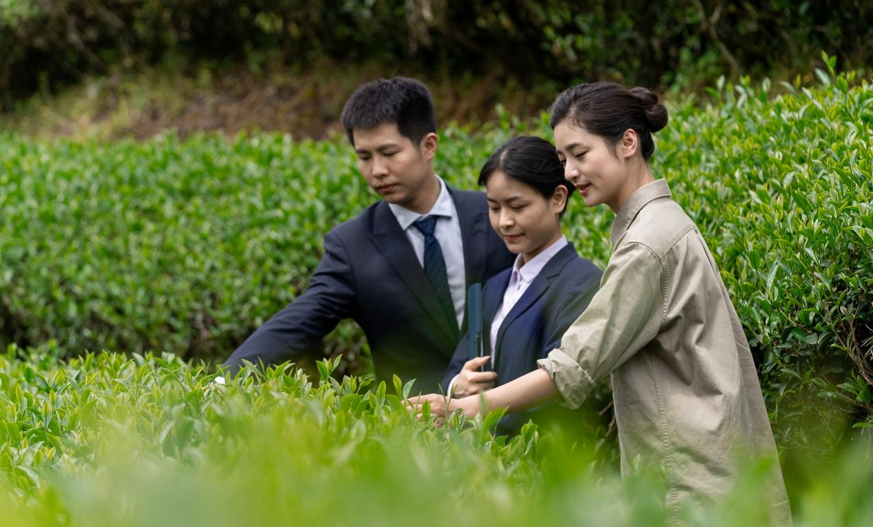廈門國際銀行“山海金融”助力南平茶產業高質量發展