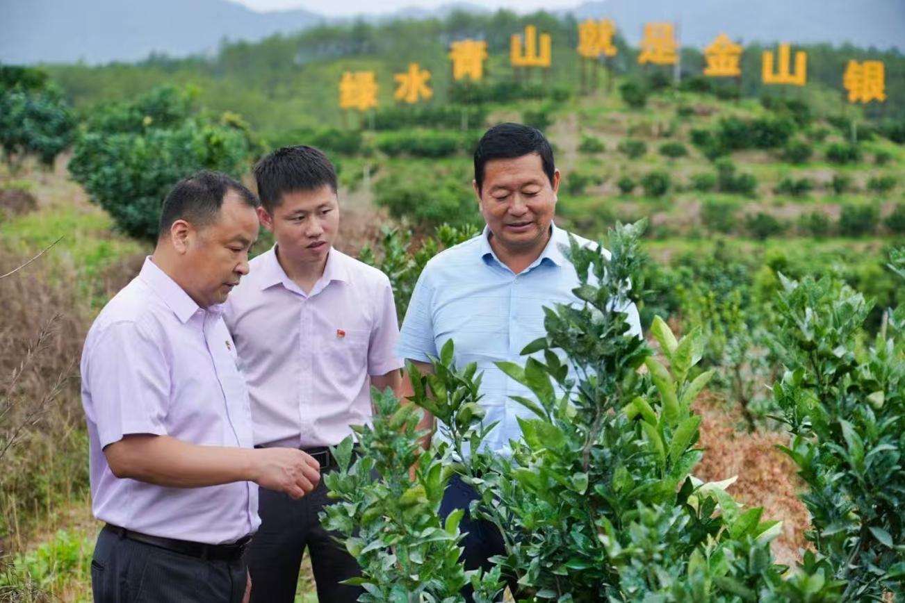 农行长汀支行客户经理进山实地了解林农经营情况