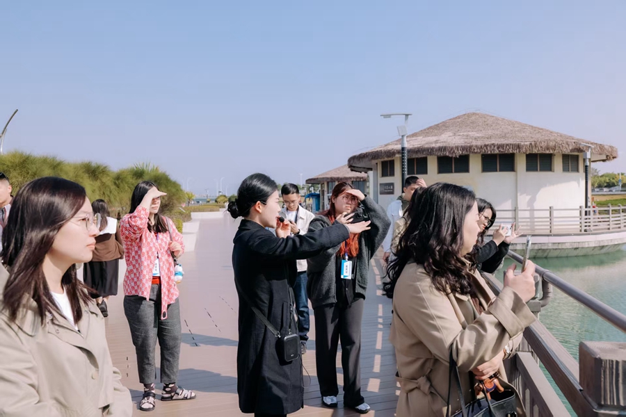 采风团在下潭尾红树林公园观光。厦门市委网信办供图