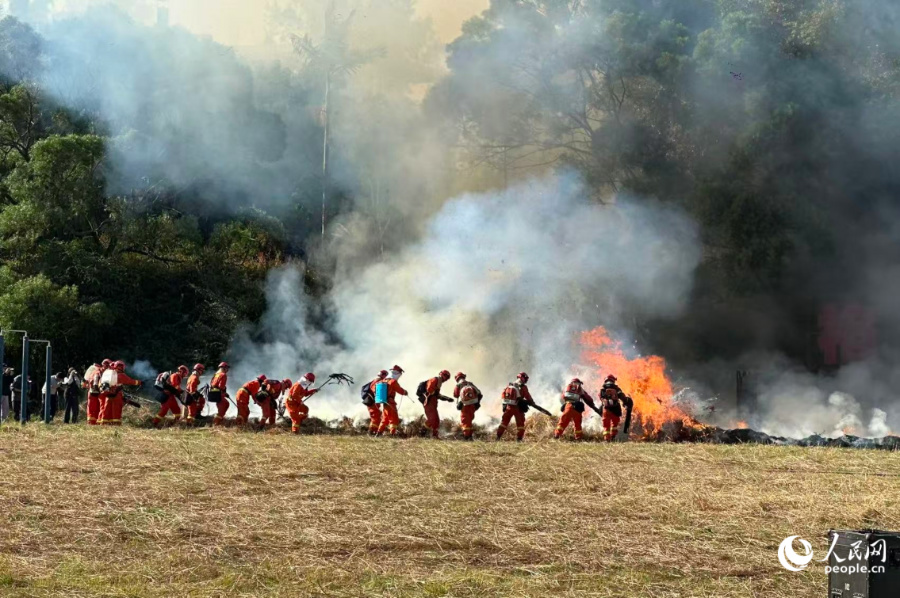 活动现场。人民网记者 张萌摄