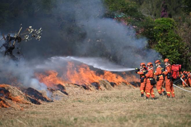 活动现场。人民网记者 张萌摄