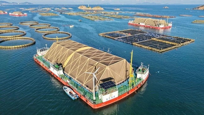 “定海湾”系列深远海养殖平台。连江县融媒体中心供图