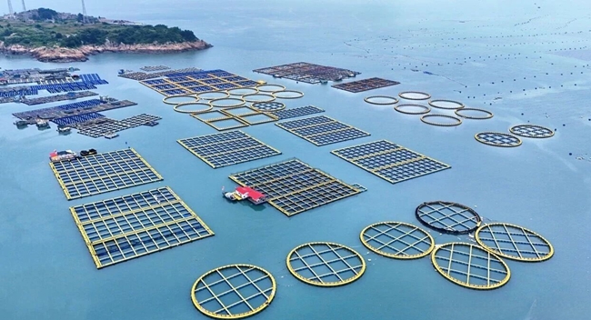 养殖设备采用环保材质。连江县融媒体中心供图