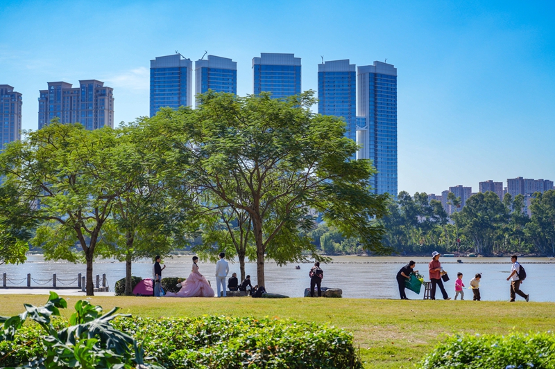 公园大草坪上，市民们享受慢生活。