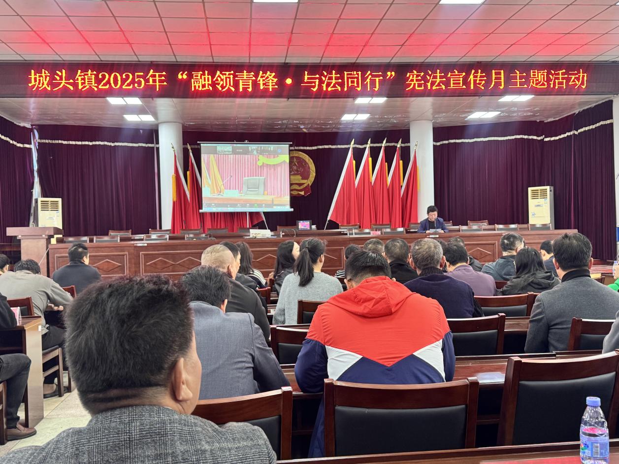 城头镇党委召开2025年“融领青锋·与法同行”宪法宣传月主题活动。城头镇供图