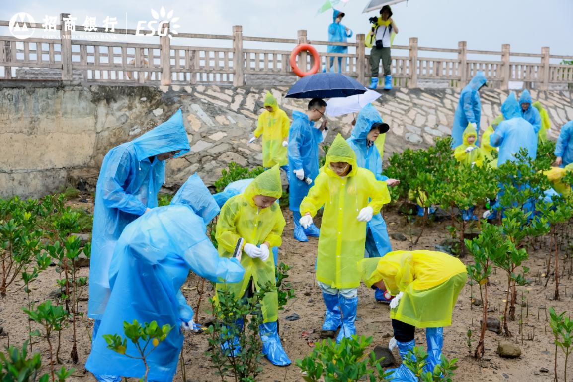 红树林生物观察暨生态科普实践活动
