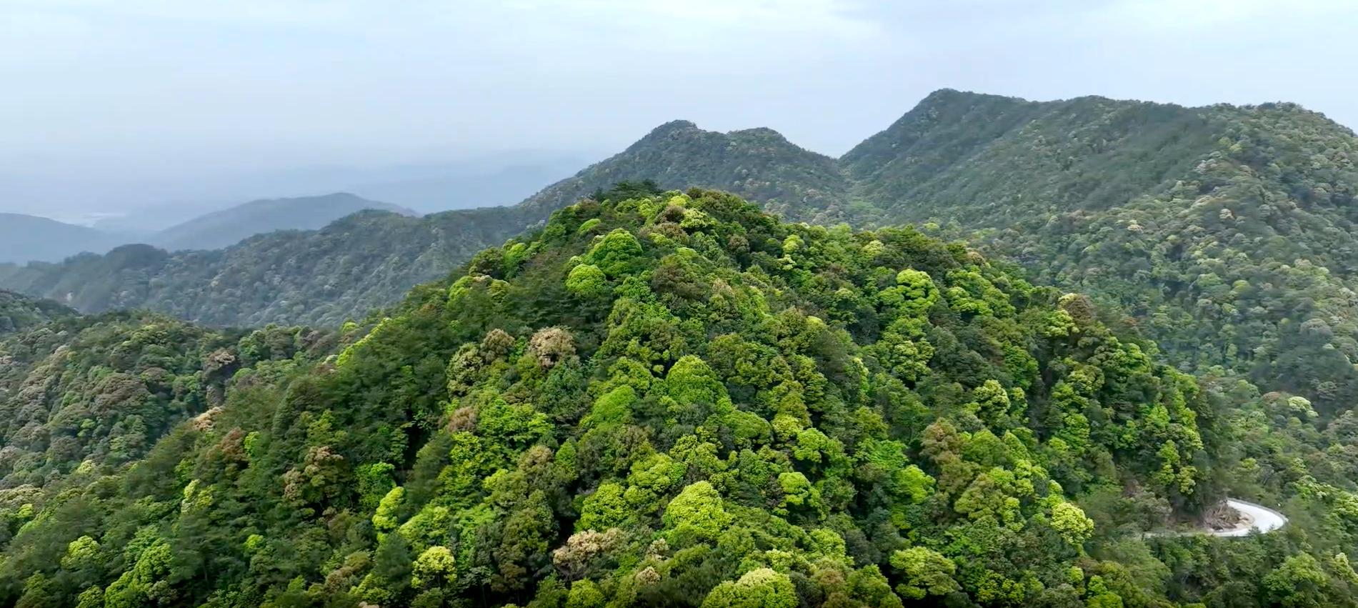 福建君子峰国家级自然保护区境内航拍一隅