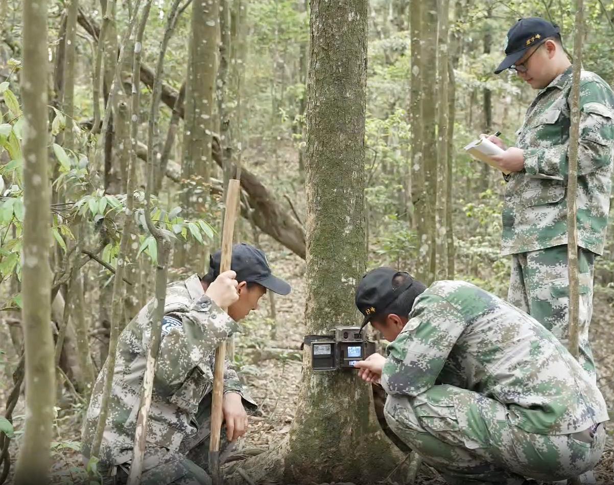 保护区工作人员在查看红外相机，并记录相关数据