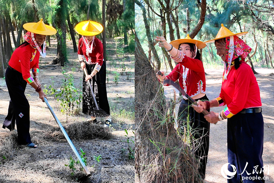 如今，陈丽英还在日日守护着惠女林场。人民网 杨灏昱摄