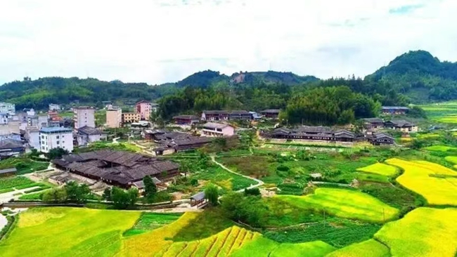 盖洋村生态公园