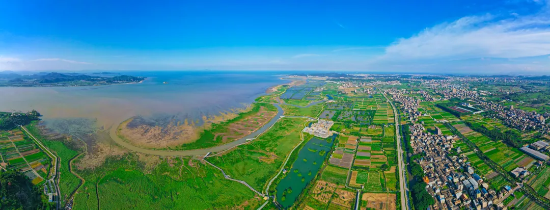 2023年,闽江河口湿地入选国际重要湿地名录,成为展示中国生物多样性保护的重要窗口。林双伟摄