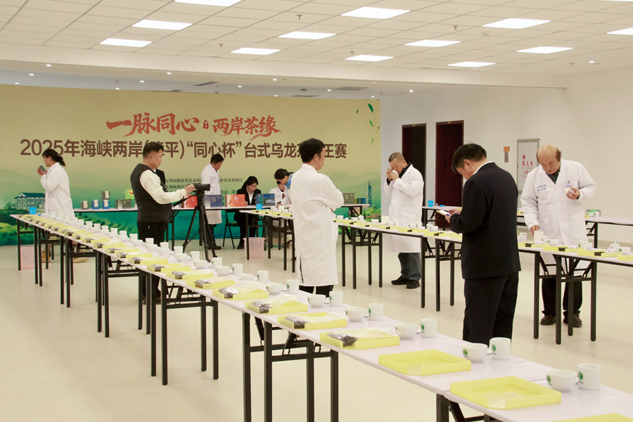 评委围绕参赛茶样进行品鉴。连各亲摄