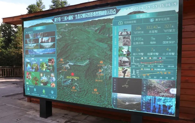 森林资源智慧监测系统。李何颖摄