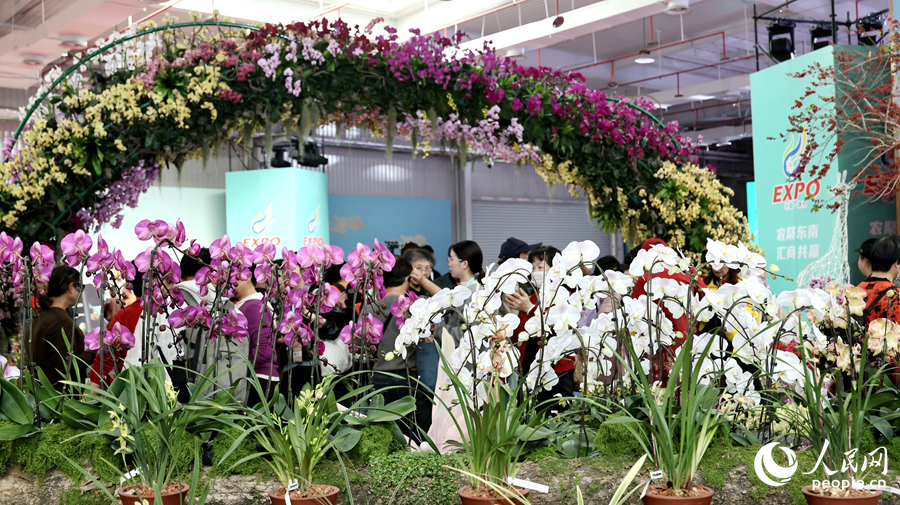 展会现场花团锦簇。人民网记者 李昌乾摄