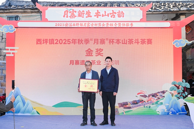 颁奖现场。主办方供图