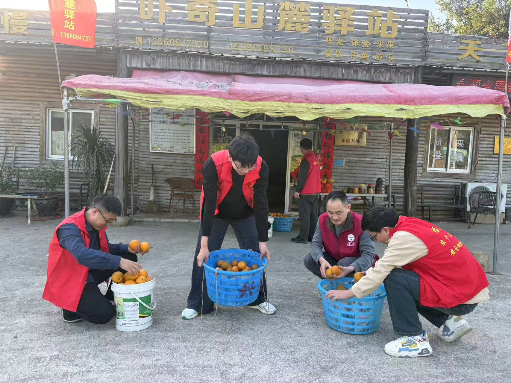 党员干部帮助农户筛选橙子