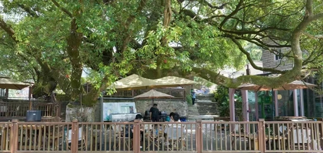 古厝活化,以文促旅