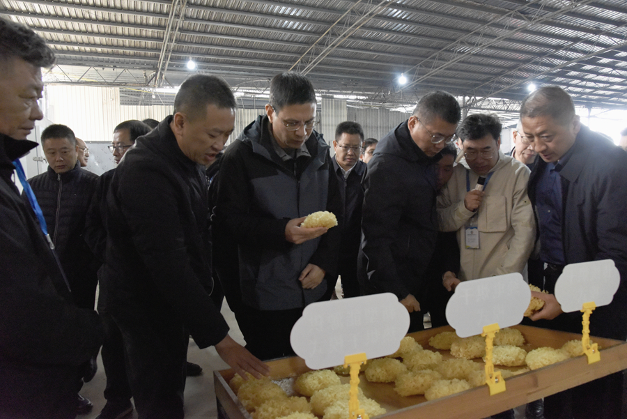 古田当地干部开展“现场办公下基层”活动。古田县融媒体中心供图