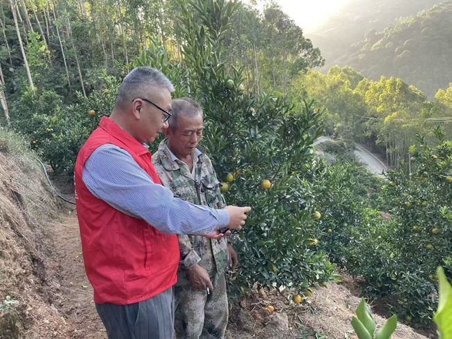 平安产险志愿者在与果农的共同劳动与闲话家常中,探寻金融服务乡村振兴最真实、最迫切的需求