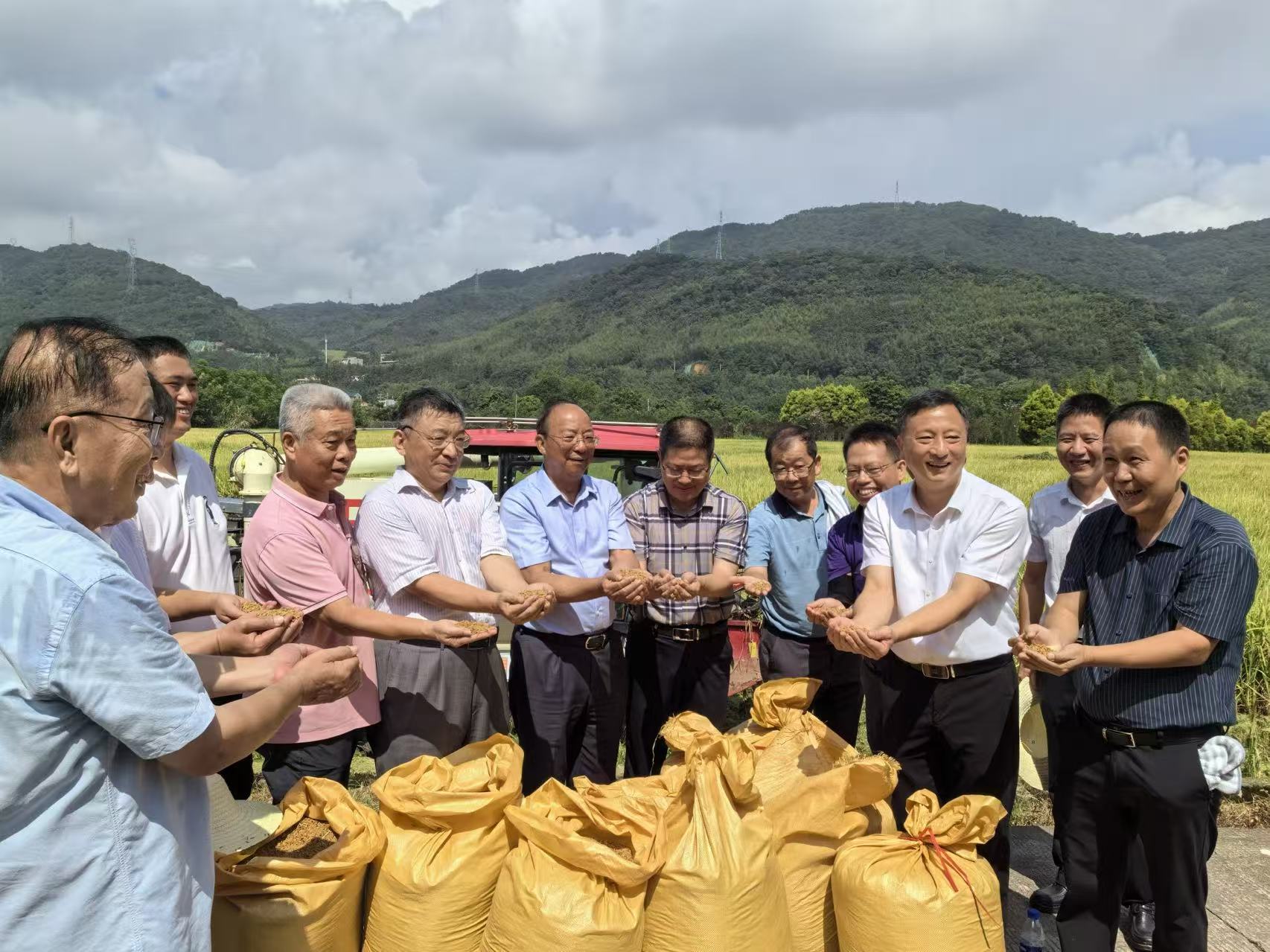 “福香占”再生稻头季在龙岩喜获丰收
