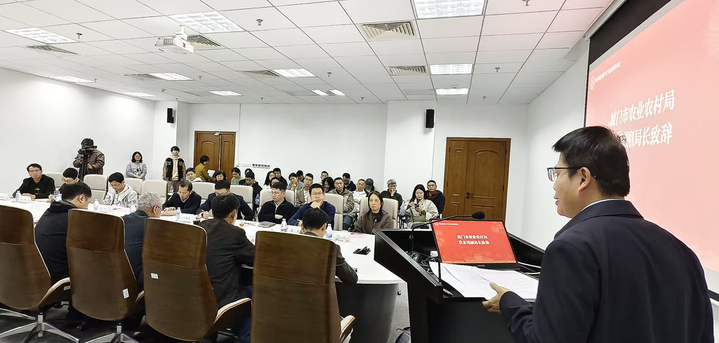 论坛现场。林林摄