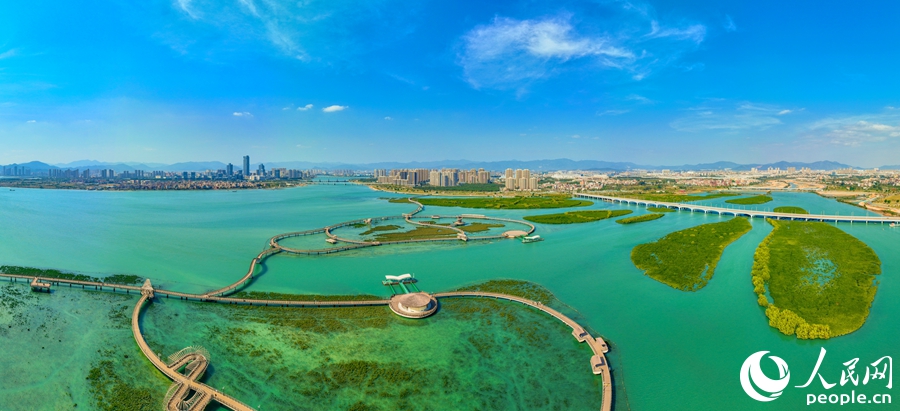 下潭尾紅樹林公園（資料圖）。人民網記者 陳博攝