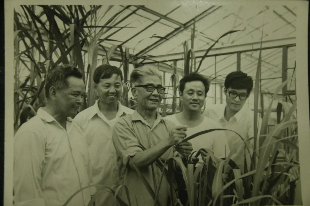 周可涌（中）与科研助手