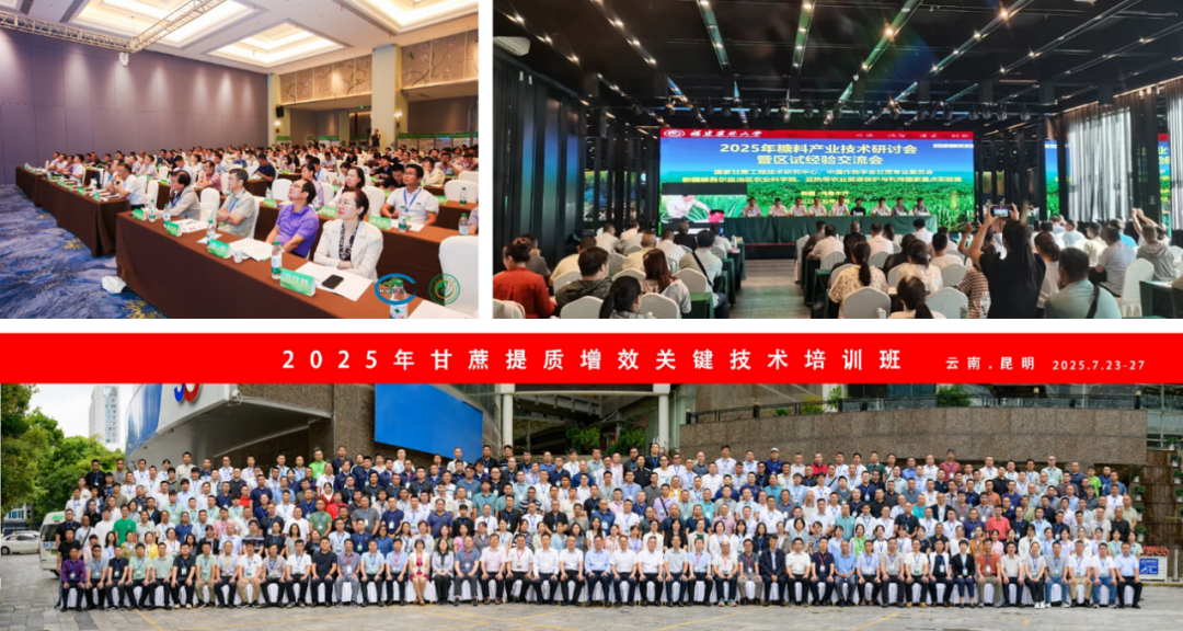 组织全国性的技术培训班、学术研讨会