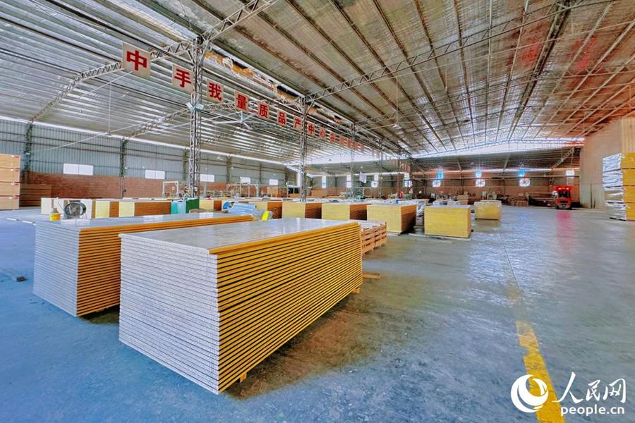 南平竹产业加工车间。人民网记者 李唯一摄