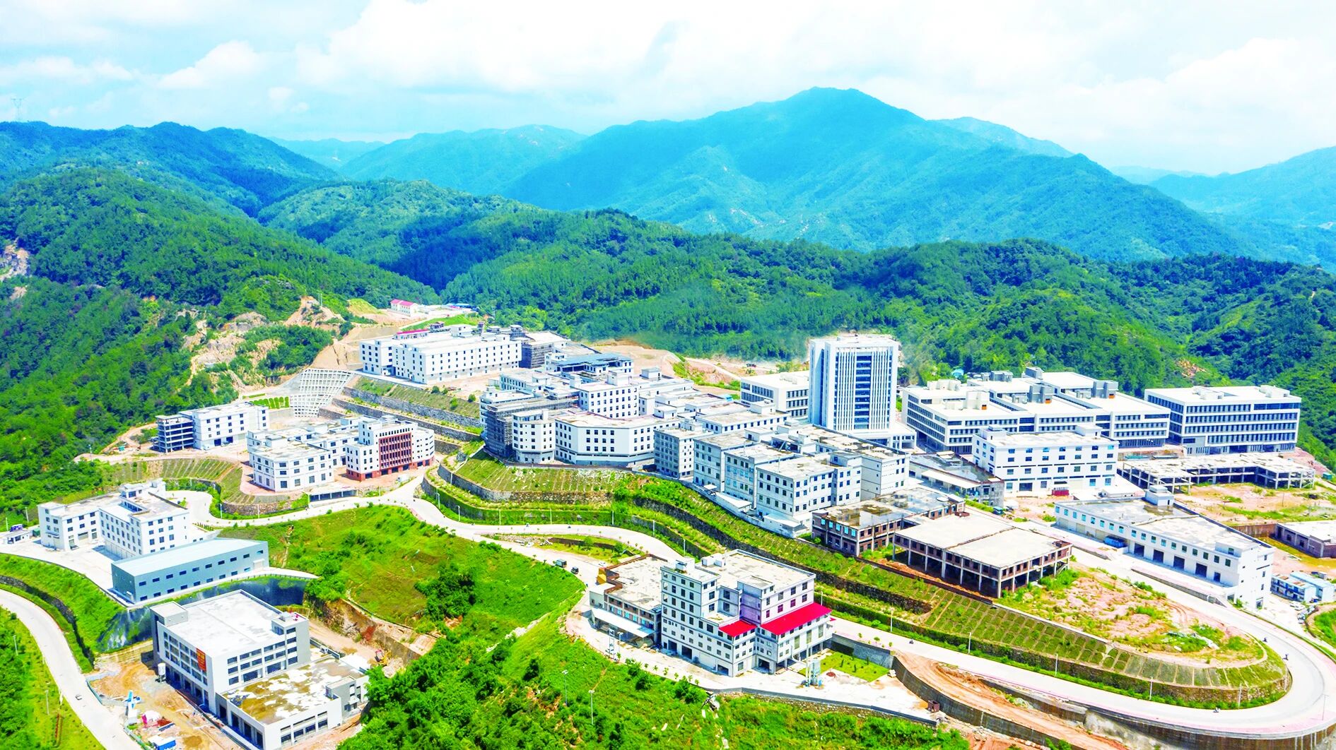 标准化建设藤云工艺园。黄东华摄