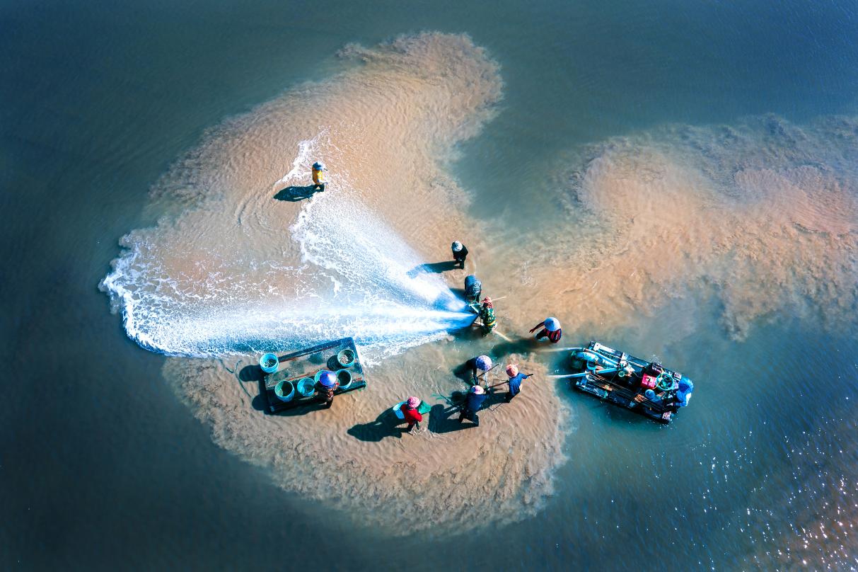 花蛤捕撈。吳克斌攝