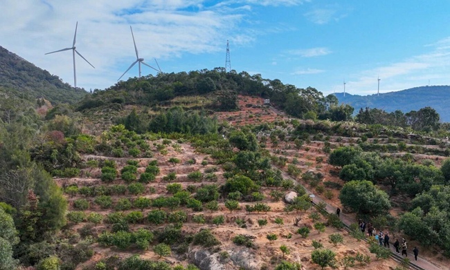 安凱文城家庭農場