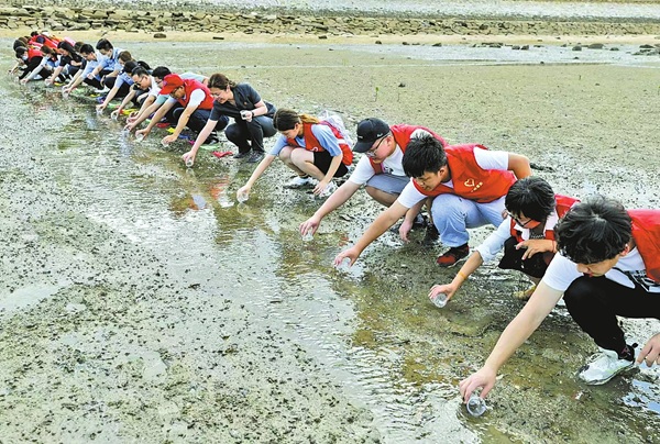 廈門中院生態庭庭長葉青帶領志願者們開展增殖放流活動，護送小鱟“回家”。