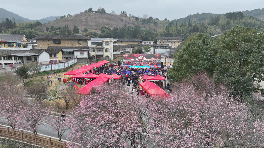 闽台(南靖)梅花文化交流活动暨2026年南靖县“三下乡”集中服务活动在南靖县梅林镇举办。南靖县融媒体中心供图